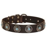 Gorgeous Wide Brown Leather Dog Collar - Fashion Exclusive Design - Special33bluestones_1